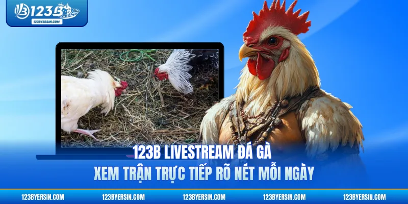 123b Livestream Đá Gà - Xem Trận Trực Tiếp Rõ Nét Mỗi Ngày
