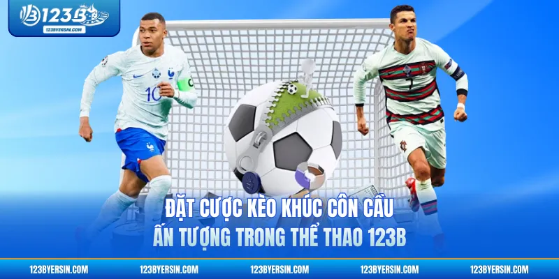 Đặt cược kèo khúc côn cầu ấn tượng trong Thể Thao 123B